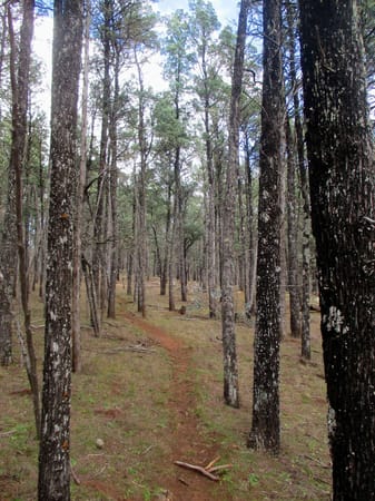 Run to the Hills - Camping in the Snowy Wilderness: photo 8