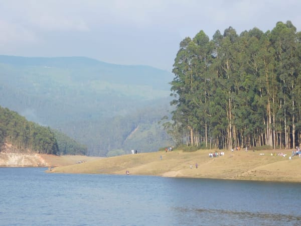 Places to visit in Munnar India: photo 3