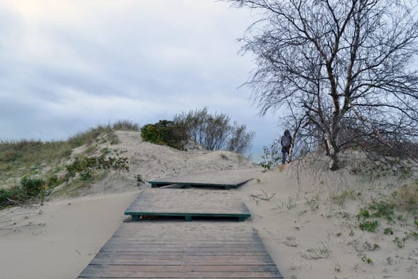 Curonian Spit National Park: photo 4