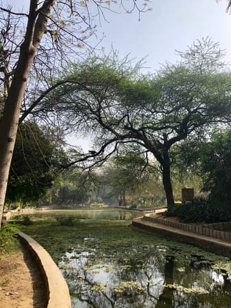 Top 3 places in Delhi, India to enjoy the outdoors: photo 4