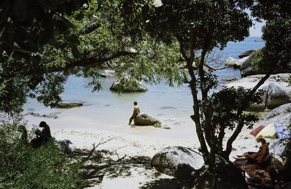 Top activities when exploring Cape Town,South Africa: photo 3