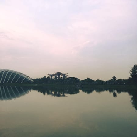 SINGAPORE: A LAYOVER CHALLENGE: photo 2