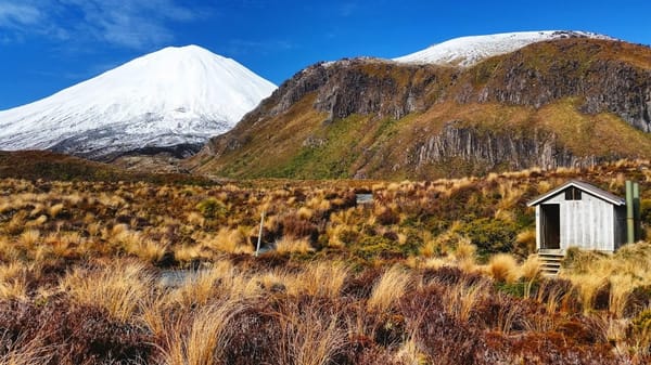What you should not miss in New Zealand: photo 3