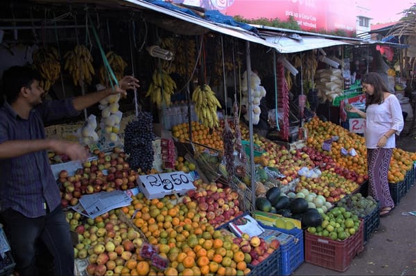 Travelling pregnant: 3 months in India: photo 5