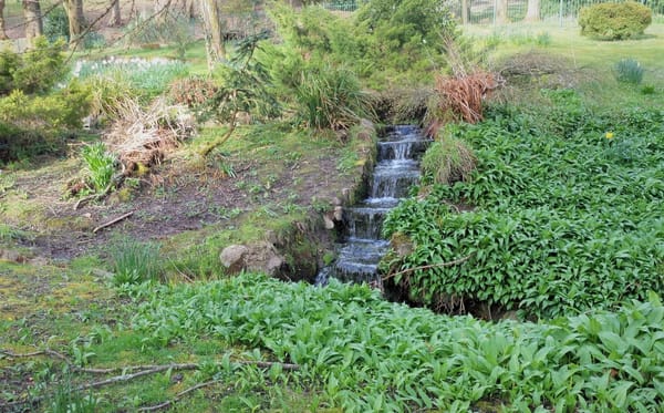 Living and Exploring Wales (UK): photo 3