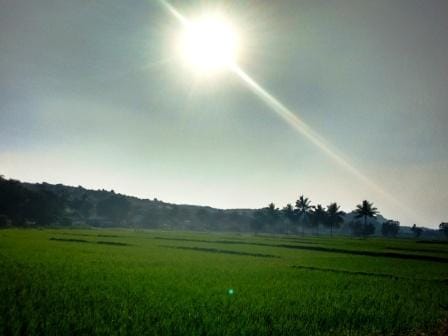 Hampi: The beautiful town of ruins and stories: photo 6