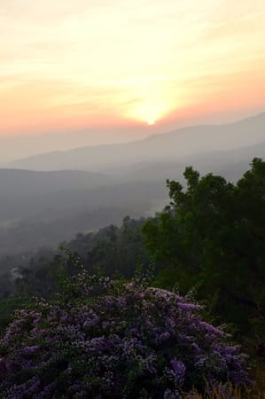 COORG – The Scotland of India!: photo 15
