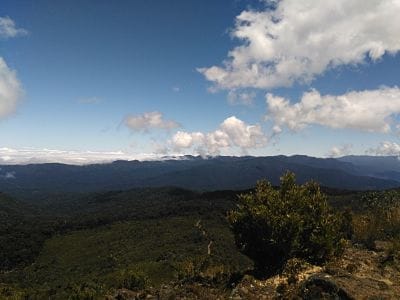 Heaven in heights: Cerro De La Muerte (Costa Rica): photo 8