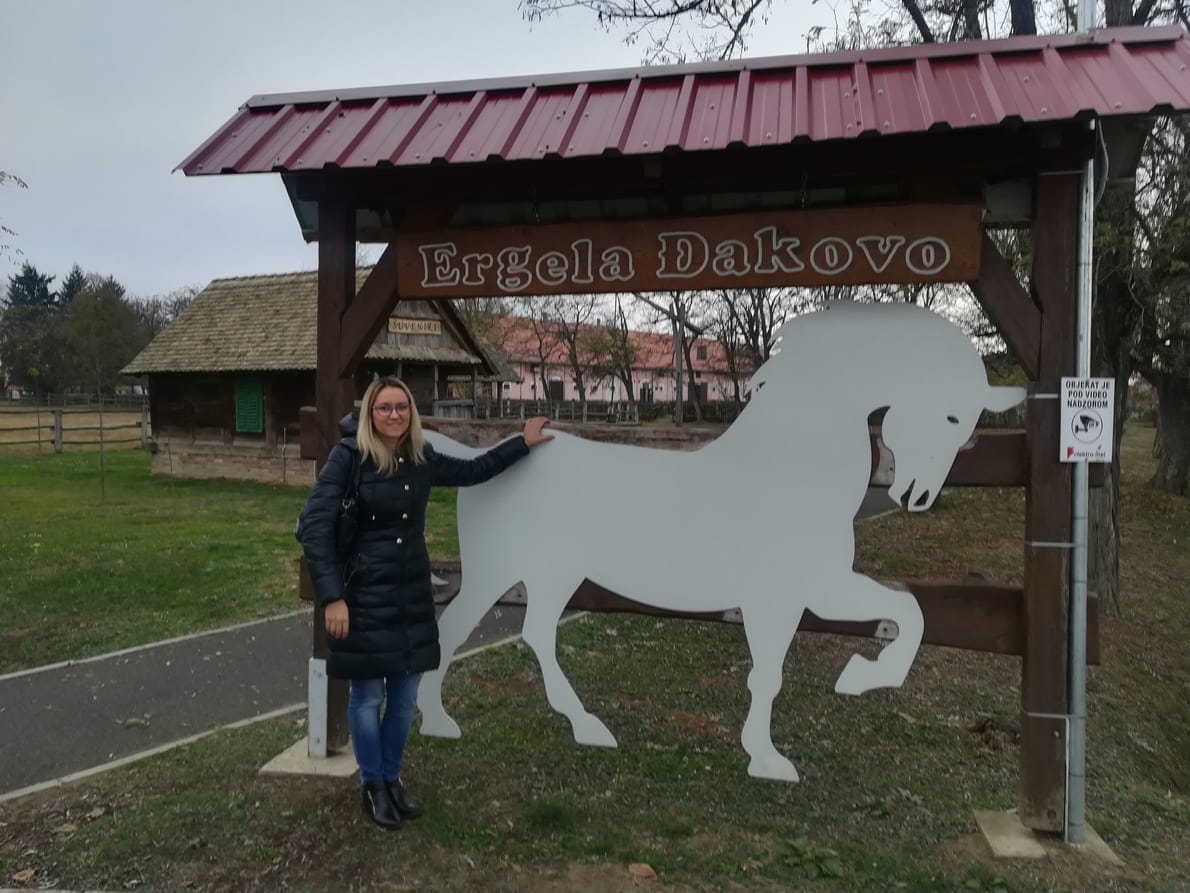 Đakovo, Croatia; town of lipizzans and long tradition