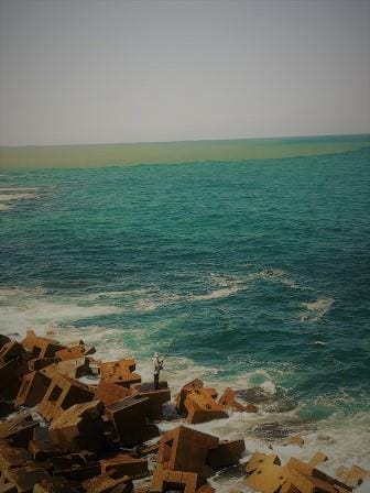 5 Must See Places in Alexandria, Egypt: photo 1