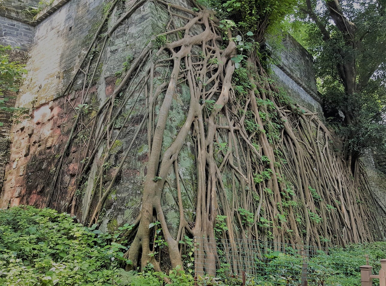 Best Parks to Visit in Guangzhou, China