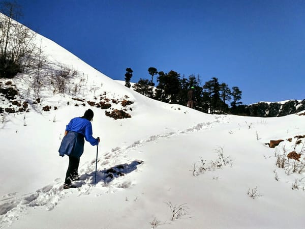Dayara Bugyal: A winter trek in India: photo 5