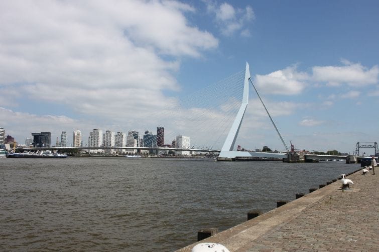 A must visit in The Netherlands: Rotterdam