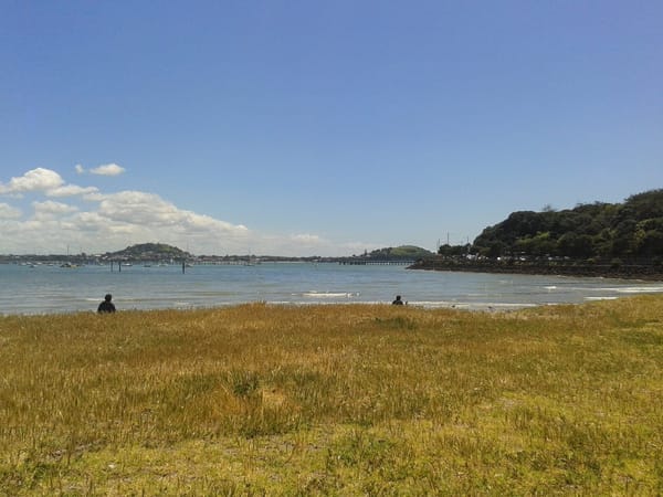 New Zealand - Aotearoa - Country of Maoris: photo 7