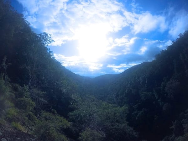 Top things to do on the Sunshine Coast for the Thrill Seeker: photo 16
