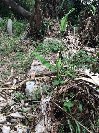 7 Megalith Sites of Melaka: The Hunt into Myth: photo 4