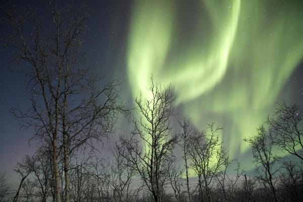 Winter wonderland in Norway: photo 2