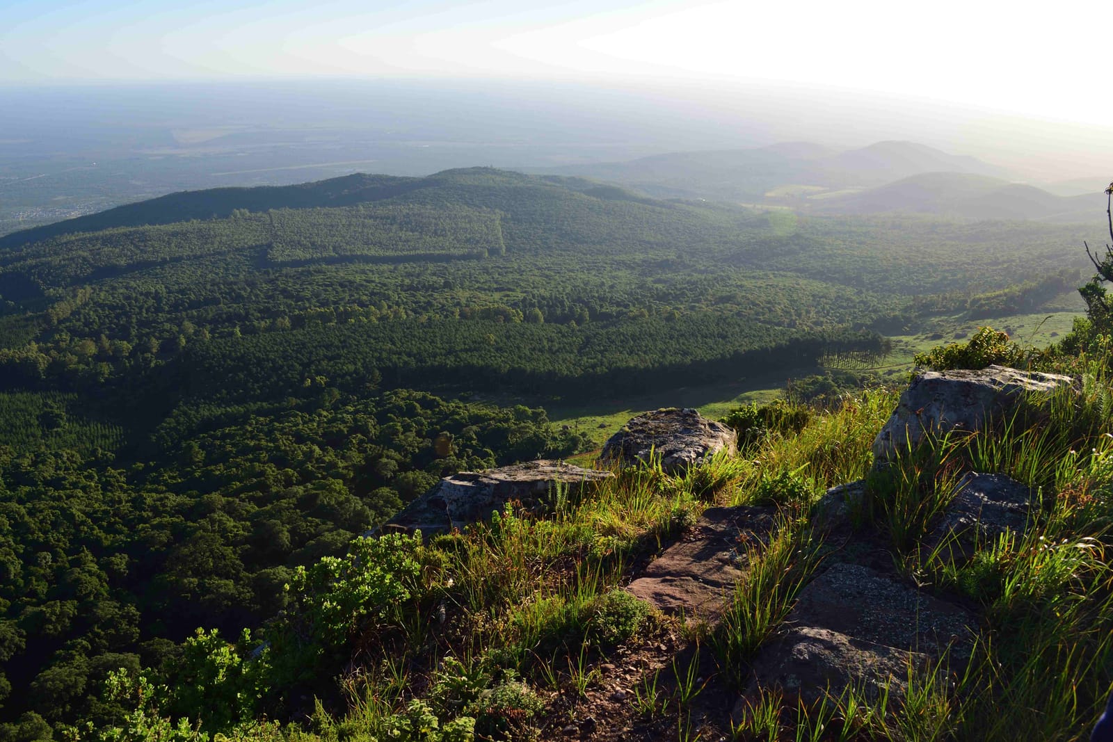 Exploring the Soutpansberg mountain range: Hanglip Nature Reserve