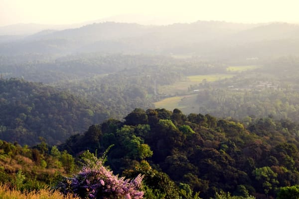 COORG – The Scotland of India!: photo 14
