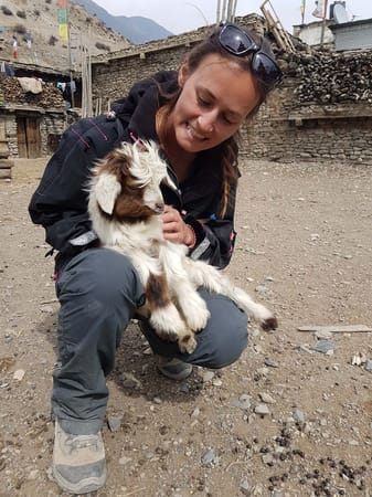 Annapurna Circuit and Base Camp Without A Guide: photo 3