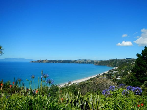 Waiheke Island: Slow down, you are here! This is paradise!: photo 1