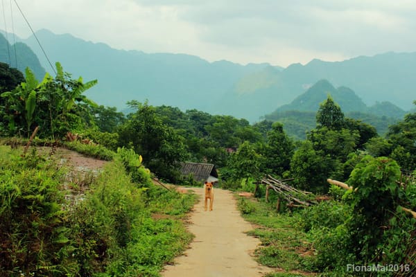 Pu Luong Retreat – A true off-the-beaten-path experience in Vietnam: photo 6