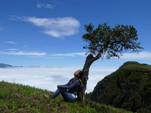 Cloud Forests of Udima, Peru; Escape the Gringo Trial: photo 1