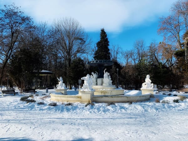 5 things you must do in Cluj-Napoca: photo 2