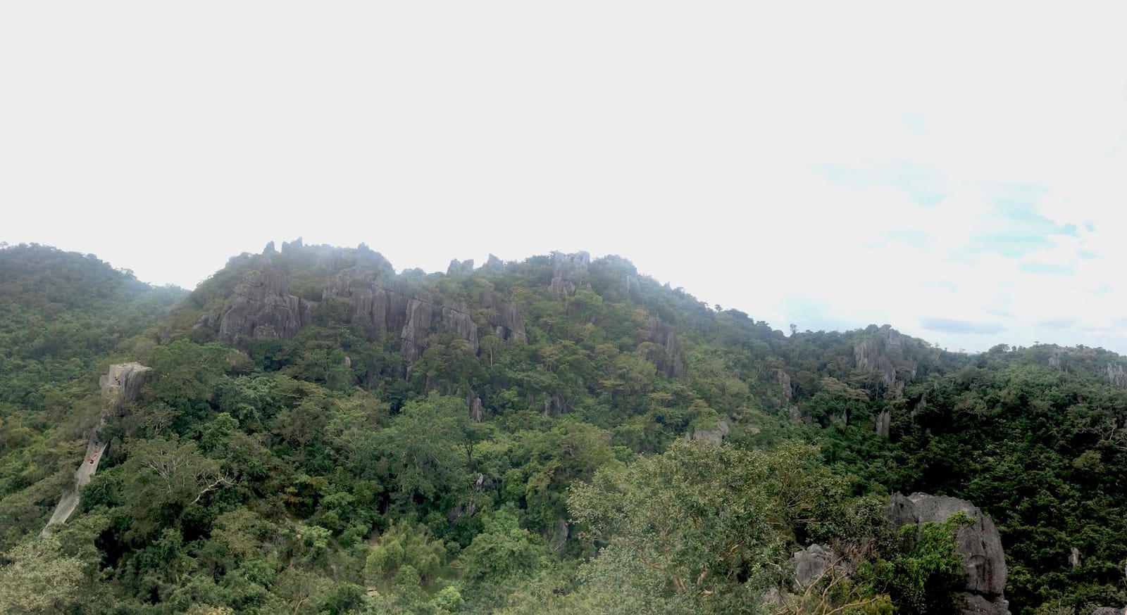 A Thrilling Treetop Adventure in Masungi Georeserve