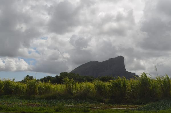 Mauritius: Somewhere In the Very Middle of the Ocean: photo 11