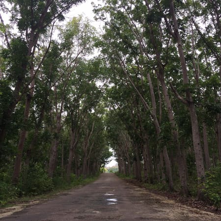 Siquijor: A paradise feared: photo 4