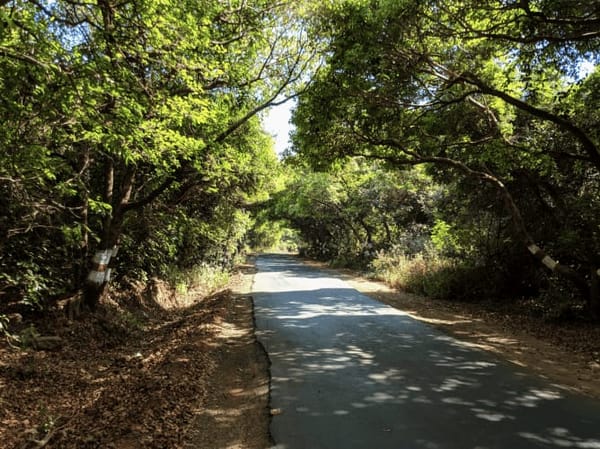 Places to see in Mahabaleshwar: photo 8
