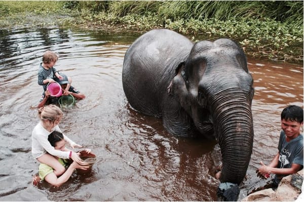 Ten things to know about Cambodia before visiting: photo 6