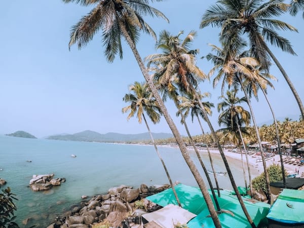 Road trip to Goa: photo 2