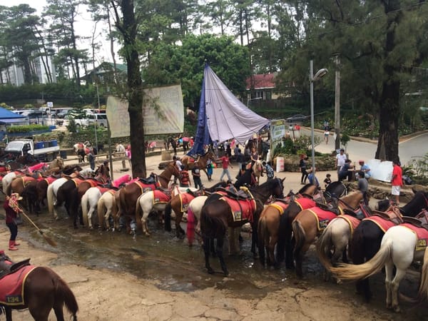 Baguio City: From the Eyes of a Local: photo 14