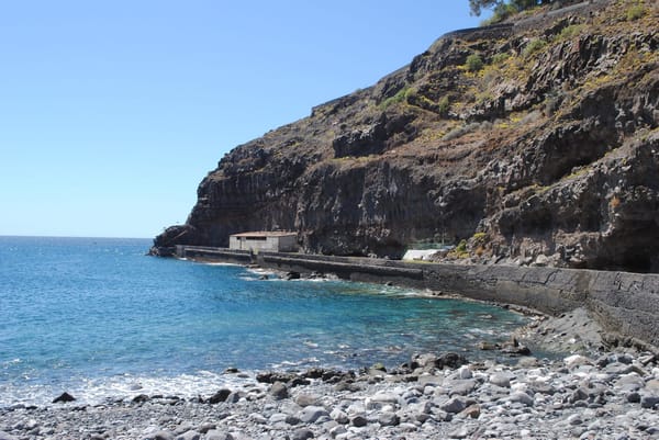 Sunny Side Up: An Insider's Guide to La Gomera's South: photo 10
