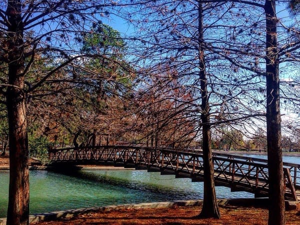 Texas as a traveling destination: photo 3