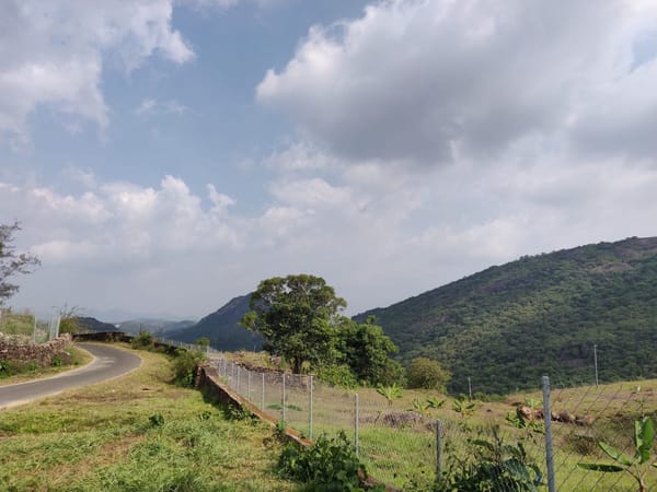 Exploring Vagamon - All in a day’s trip: photo 1