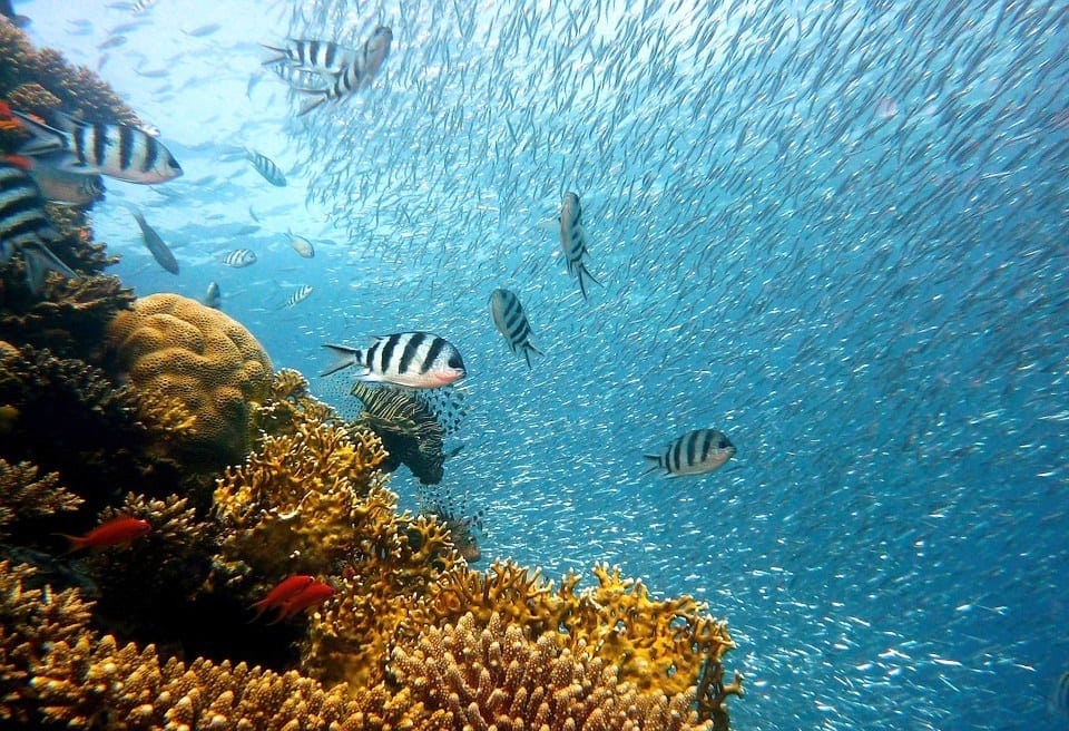 Cairns: top 10 adventure activities for backpackers