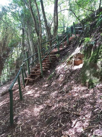 The Perfect Date With Nature; The Oloolua Nature Trail: photo 6