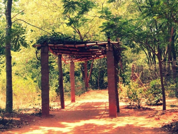 Pondicherry : The Global City: photo 5