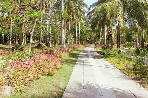 A Week In Tropical Paradise: Dos Palmas Island, Palawan: photo 23