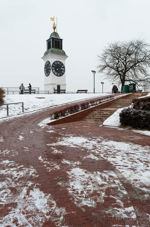 8 Places to visit in Novi Sad: photo 15