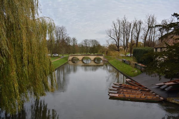 Cambridge: A city to fall in love with: photo 17