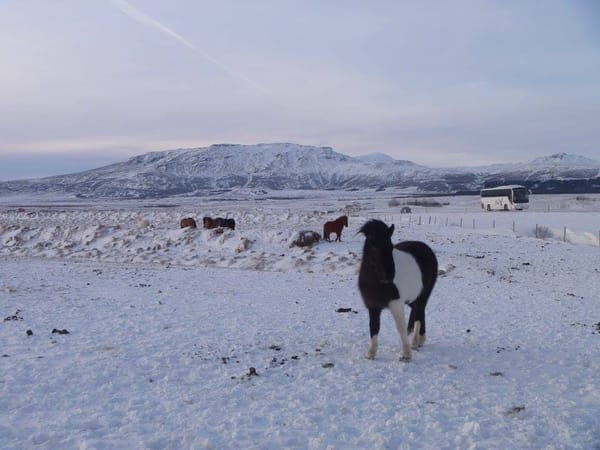 Iceland - A Frozen Adventure Playground: photo 8