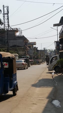 The Elephant Experience in Chitwan: photo 2