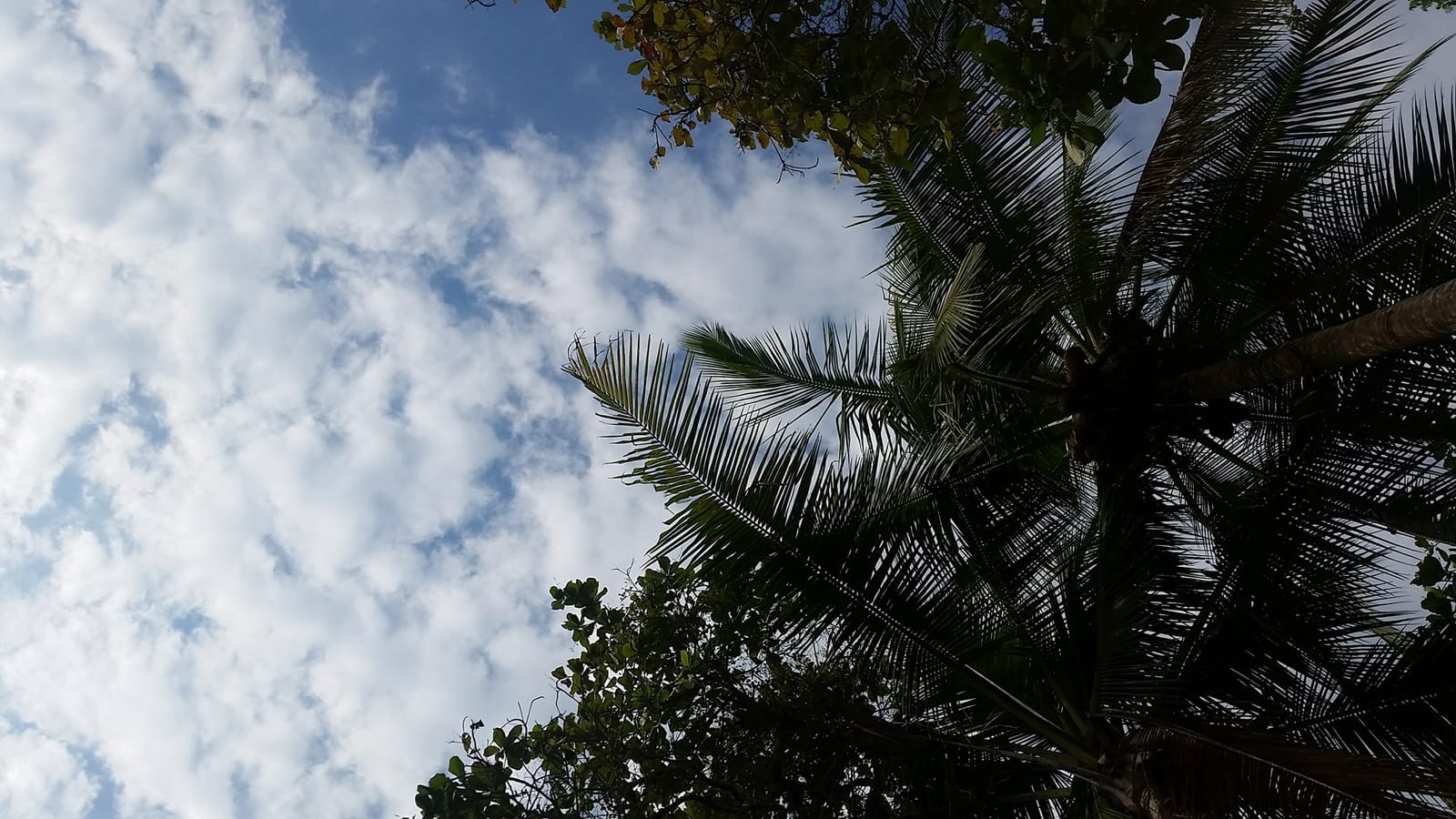 The Best Things About Traveling in Costa Rica