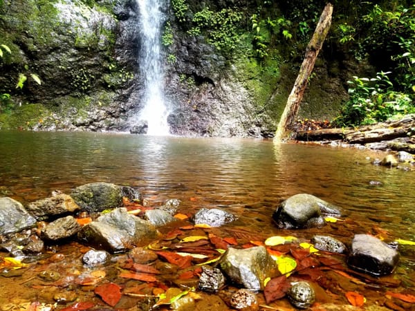 Cairns Local Adventure Guide: photo 6