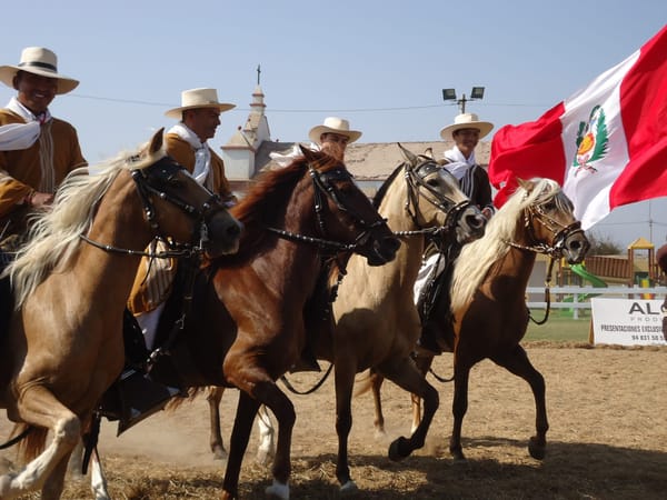Peru:Trujillo - City of eternal spring: photo 5