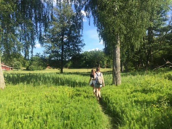 Swedish Meatballs and Island Life: photo 1